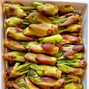 봄 <Garden of Music - 한국 가곡과 오페라 아리아로 꽃피우는 음악의 정원> | 끝이 까맣게 탄 새 풀잎/김용택...이 모든 것들 중에서, 그 모든 것들 중에서, 실은 당신이 제일 많이...