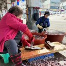 겨울왕국 울릉도 후기 이미지