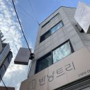 반냥트리 | 내돈내산 고양이 미용실 반냥트리 리얼후기