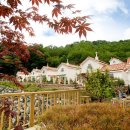 대지팜스 이미지