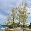 낙동강수련원 카라반 이미지