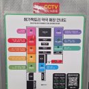 [메가팩토리 금천점] 방문기! 신시아정 사려다 센틸라정 업어온 솔직 후기 (정맥순환개선제 가격 비교)