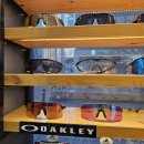 불당상가2 | 천안 오클리 라이딩 선글라스 유명한 스위스안경원 신불당점 방문 후기