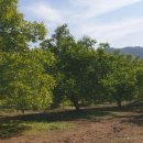 들길농장2 이미지