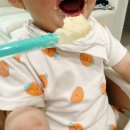 아기숟가락 | [용인배달이유식 추천] '아기숟가락' 후기 이유식으로 시작했어요 솔직후기