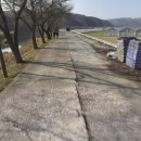 가수교 네이버블로그