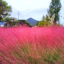 논공(대구) 이미지