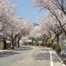 합천농협 봉산지점 이미지