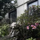 호랑이 주택 이미지