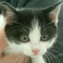 21세기종합동물병원 이미지