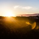 에디슨 소아청소년과의원 이미지