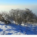 안도현농장 이미지