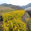 오성농원 이미지