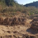 지원농장 이미지