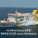 나드리고속관광