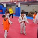 경희대 태권도장 이미지