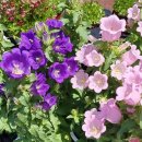 한택식물원주차장 이미지