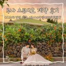 스튜디오나인스 | W-9 대구 루나 스튜디오 계약 후기/스드메 견적공유/100만원 후반대