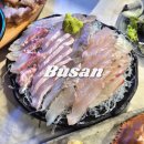 부산회식당 | 부산 해운대 횟집 추천 신선회식당 오션뷰식당 내돈내산 만족한 후기