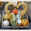 하늘내린농장 이미지