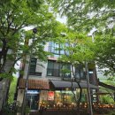 국립산림과학원 산림생명자원연구부 | 260503 봄날 비 온 뒤의 서울대 안양수목원 - 리기테다소나무와 그 시험지 & 다양한 초목(草木)