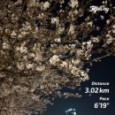 42 | 나이키페가수스42후기 초보러닝화 가성비러닝화 추천