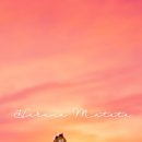 파충류카페 비비안 이미지