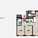 최근희소식