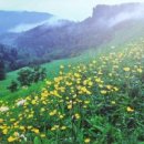 백두산삼계탕 이미지