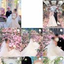 이로호텔 | W26. 아이폰 스냅 추천 / L65호텔웨딩 <이로스냅> 선택 이유 (짝꿍코드 o)