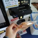 도그마캣포항철길숲점