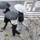 ⛈️&#34;내일 우산 꼭 챙기세요&#34;…전국에 많은 비·강원도 대설 주의 이미지