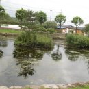 풍산태사로(풍산읍) 이미지