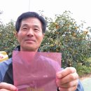 김종출농장 이미지