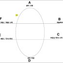 [주식] 코스톨라니 달걀이론 이미지