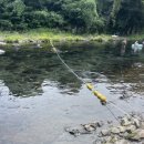 강정천주유소 이미지