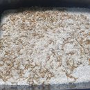 무안곤충농장 이미지