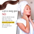 핑크파르페 이미지