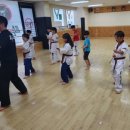 자란다 태권도장 이미지