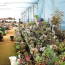 오현농장 이미지