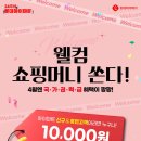 쇼핑머니 이미지