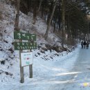 풍전목장 | 작지만 알찬 겨울여행, 대관령 '양떼목장'