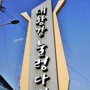 곡성군목사동면보건지소 | 한적한 여행지 추천 전남 곡성 대황강 출렁다리 거닐기