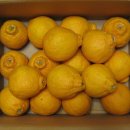 영서농장 이미지