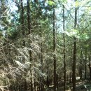 진주체육공원 이미지