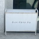제주스냅 헤메드 외 업체 후기(유아오, 홀스테일러, 투리틀플라워)
