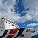 후포 비소 제11호 | 울릉도 독도 여행 배편 노선 완벽정리 출발항 소요시간 차량선적 정보