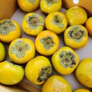 민재축산 이미지