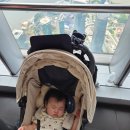 행정공안길 | 5개월 아기와 함께한 상하이여행(IFC레지던스, 상하이타워전망대)