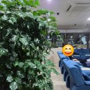 해운대로161번길 | 해운대 발마사지 잘 하는 곳 찾는다면, 풋앤샵에서 발마사지와 종아리 관리로 피로 싹 풀고 힐링한 후기